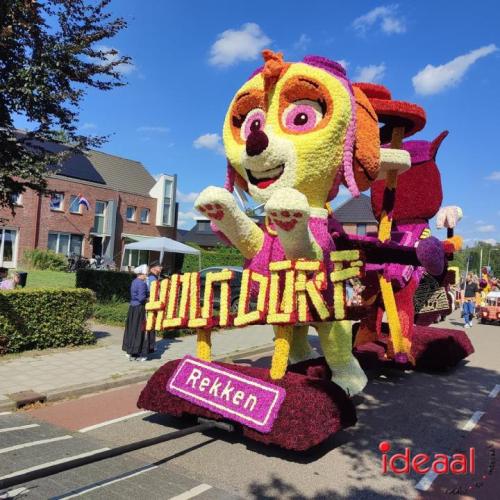 Bloemencorso Rekken (23-08-2023)