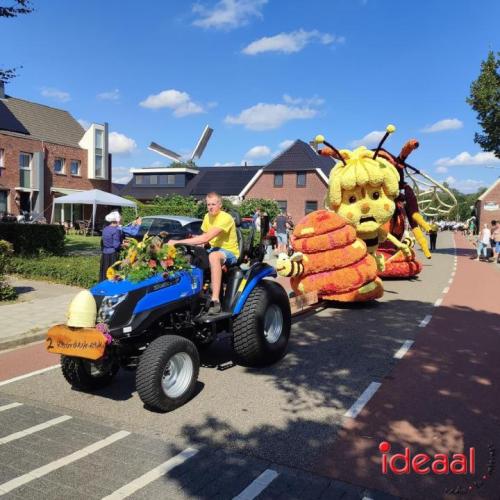 Bloemencorso Rekken (23-08-2023)