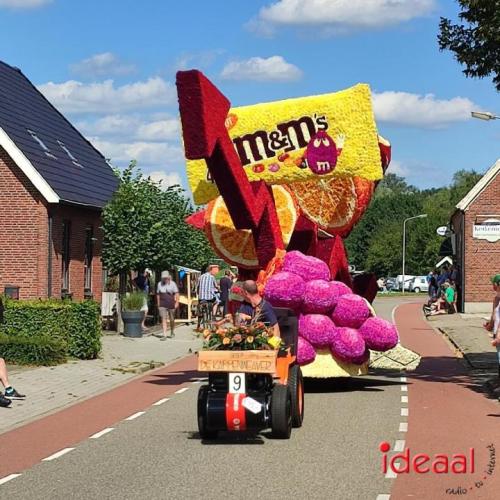 Bloemencorso Rekken (23-08-2023)