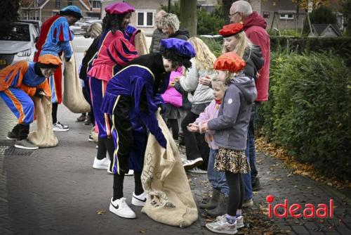 Sinterklaasintocht in Zelhem (16-11-2024)