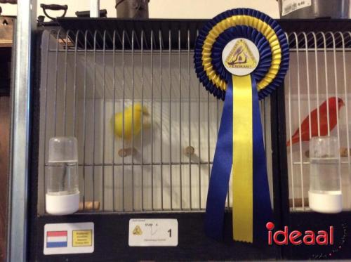 Vogelvereniging Exokan (12-11-2022)