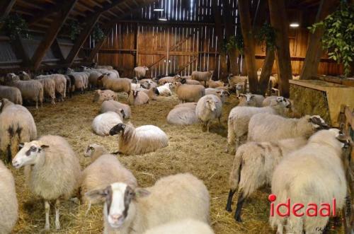 Schaapskooi De Graafse Kamp in Warken (30-01-2023)