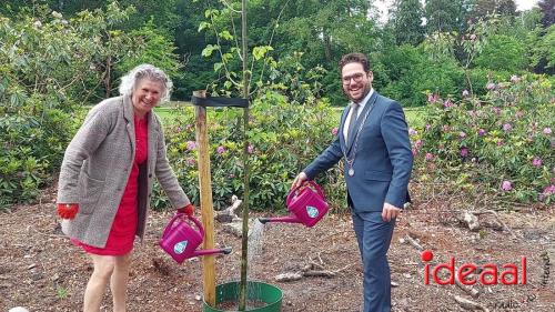 Boom geadopteerd op Landgoed Oolde (30-05-2023)