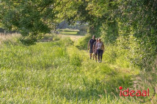 Avond4Daagse Hengelo (06-06-2023)