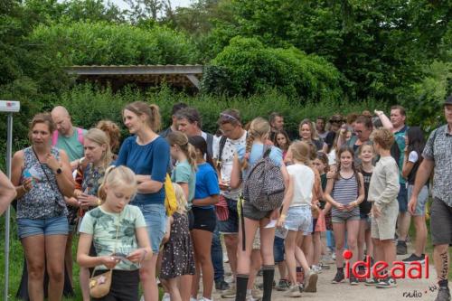 Avond4Daagse Hengelo (07-06-2023)