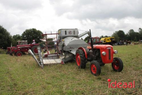 Beleef de boerderij bij Feltsigt in Bekveld - deel 1 (30-07-2023)