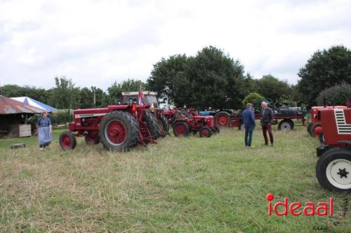 Beleef de boerderij bij Feltsigt in Bekveld - deel 1 (30-07-2023)