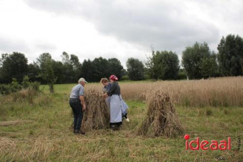 Beleef de boerderij bij Feltsigt in Bekveld - deel 1 (30-07-2023)