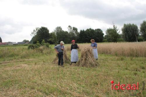 Beleef de boerderij bij Feltsigt in Bekveld - deel 1 (30-07-2023)