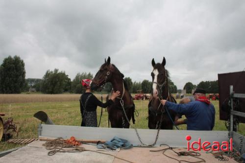 Beleef de boerderij bij Feltsigt in Bekveld - deel 1 (30-07-2023)