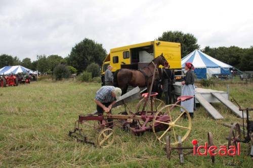 Beleef de boerderij bij Feltsigt in Bekveld - deel 1 (30-07-2023)