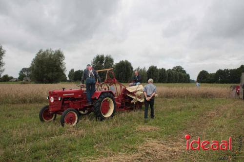 Beleef de boerderij bij Feltsigt in Bekveld - deel 1 (30-07-2023)