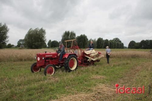 Beleef de boerderij bij Feltsigt in Bekveld - deel 1 (30-07-2023)