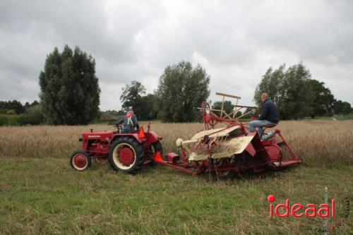 Beleef de boerderij bij Feltsigt in Bekveld - deel 1 (30-07-2023)