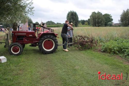 Beleef de boerderij bij Feltsigt in Bekveld - deel 1 (30-07-2023)