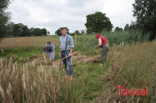 Beleef de boerderij bij Feltsigt in Bekveld - deel 1 (30-07-2023)