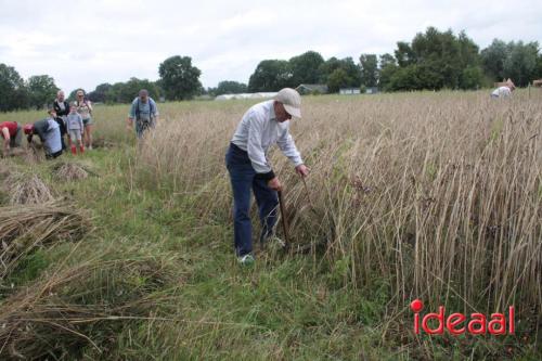 Beleef de boerderij bij Feltsigt in Bekveld - deel 1 (30-07-2023)