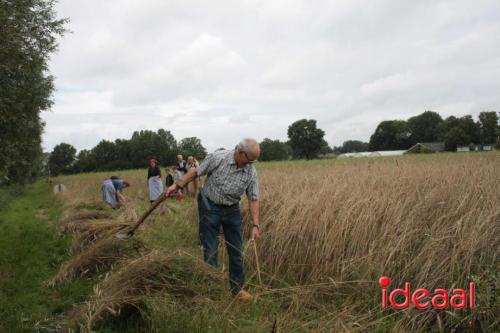 Beleef de boerderij bij Feltsigt in Bekveld - deel 1 (30-07-2023)