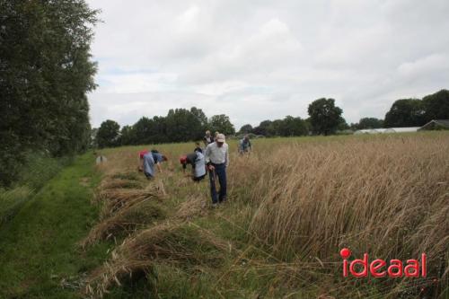 Beleef de boerderij bij Feltsigt in Bekveld - deel 1 (30-07-2023)