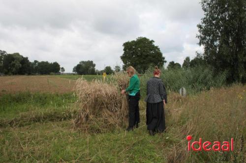 Beleef de boerderij bij Feltsigt in Bekveld - deel 1 (30-07-2023)