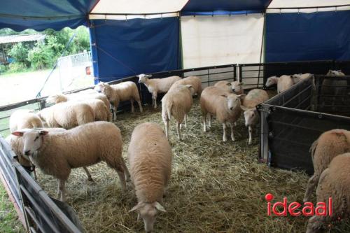 Beleef de boerderij bij Feltsigt in Bekveld - deel 1 (30-07-2023)