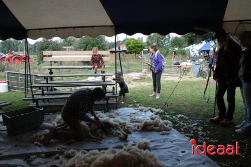 Beleef de boerderij bij Feltsigt in Bekveld - deel 1 (30-07-2023)