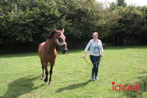 Beleef de boerderij bij Feltsigt in Bekveld - deel 1 (30-07-2023)