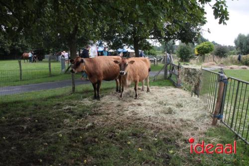 Beleef de boerderij bij Feltsigt in Bekveld - deel 1 (30-07-2023)