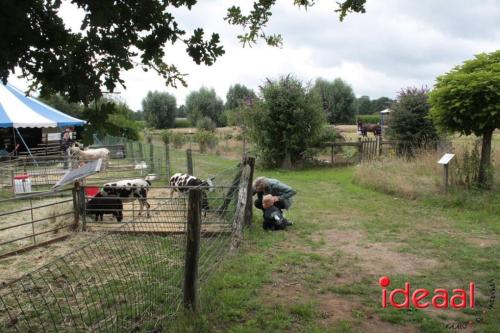 Beleef de boerderij bij Feltsigt in Bekveld - deel 1 (30-07-2023)