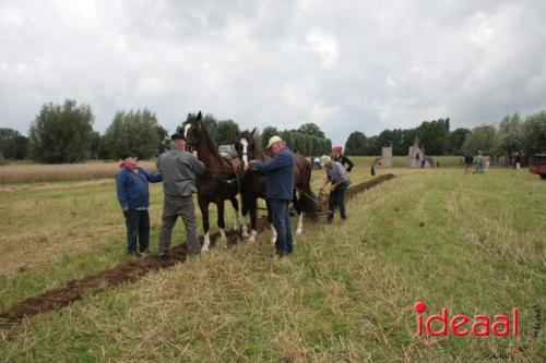 Beleef de boerderij bij Feltsigt in Bekveld - deel 1 (30-07-2023)