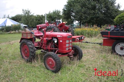 Beleef de boerderij bij Feltsigt in Bekveld - deel 1 (30-07-2023)