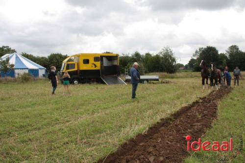 Beleef de boerderij bij Feltsigt in Bekveld - deel 1 (30-07-2023)