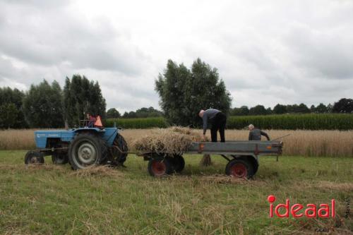 Beleef de boerderij bij Feltsigt in Bekveld - deel 1 (30-07-2023)