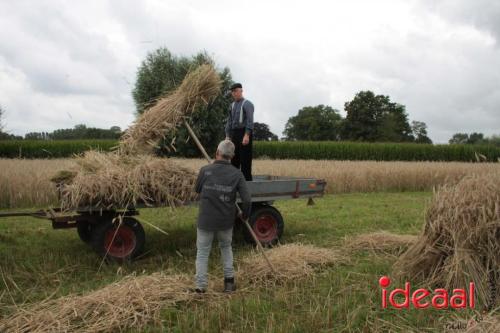 Beleef de boerderij bij Feltsigt in Bekveld - deel 1 (30-07-2023)