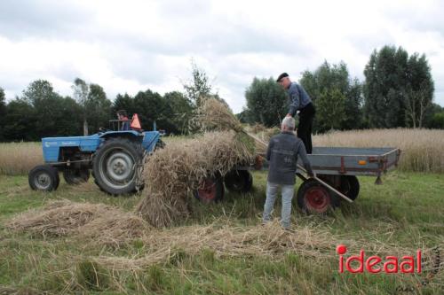 Beleef de boerderij bij Feltsigt in Bekveld - deel 1 (30-07-2023)