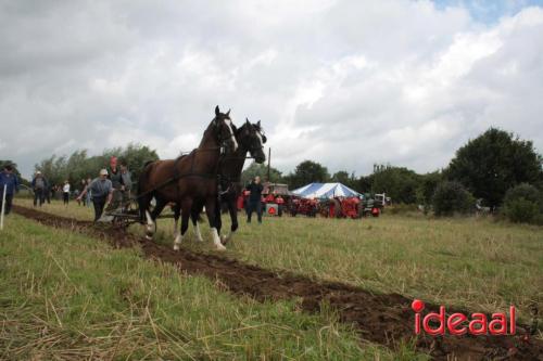 Beleef de boerderij bij Feltsigt in Bekveld - deel 1 (30-07-2023)