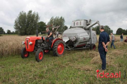 Beleef de boerderij bij Feltsigt in Bekveld - deel 1 (30-07-2023)