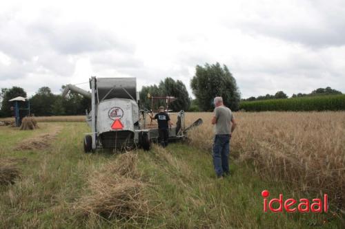 Beleef de boerderij bij Feltsigt in Bekveld - deel 1 (30-07-2023)