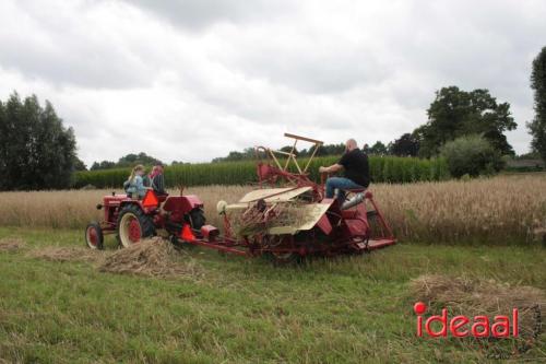 Beleef de boerderij bij Feltsigt in Bekveld - deel 1 (30-07-2023)