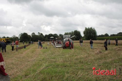 Beleef de boerderij bij Feltsigt in Bekveld - deel 1 (30-07-2023)