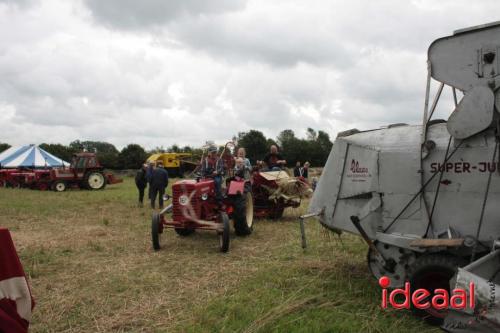 Beleef de boerderij bij Feltsigt in Bekveld - deel 1 (30-07-2023)