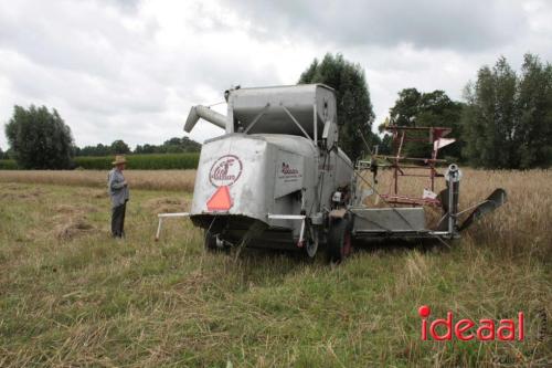 Beleef de boerderij bij Feltsigt in Bekveld - deel 1 (30-07-2023)