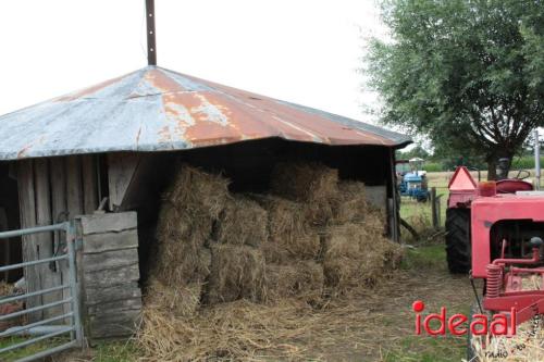 Beleef de boerderij bij Feltsigt in Bekveld - deel 1 (30-07-2023)