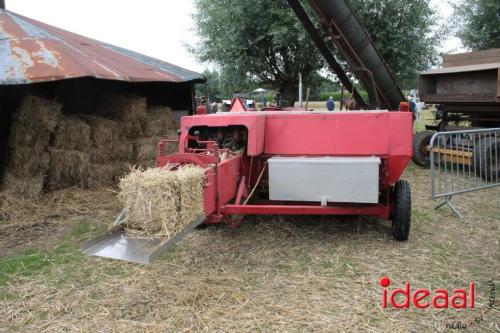 Beleef de boerderij bij Feltsigt in Bekveld - deel 1 (30-07-2023)