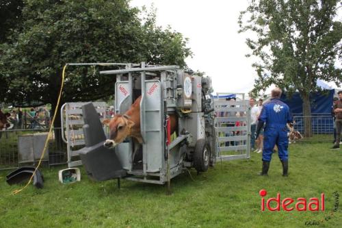 Beleef de boerderij bij Feltsigt in Bekveld - deel 1 (30-07-2023)