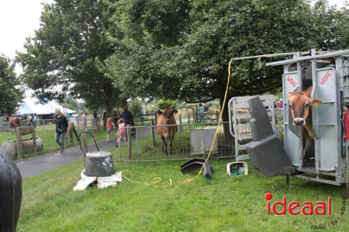 Beleef de boerderij bij Feltsigt in Bekveld - deel 1 (30-07-2023)