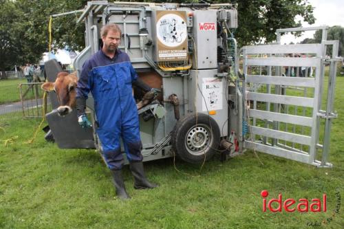 Beleef de boerderij bij Feltsigt in Bekveld - deel 1 (30-07-2023)