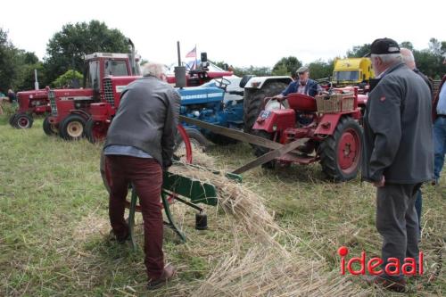 Beleef de boerderij bij Feltsigt in Bekveld - deel 2 (30-07-2023)