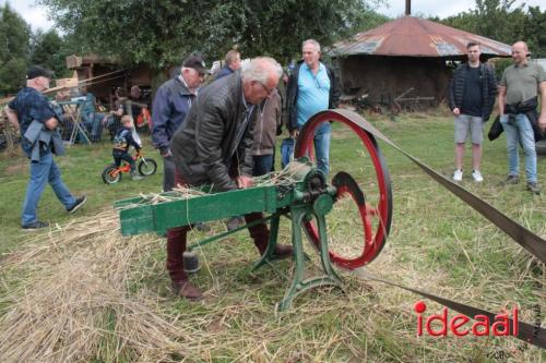 Beleef de boerderij bij Feltsigt in Bekveld - deel 2 (30-07-2023)