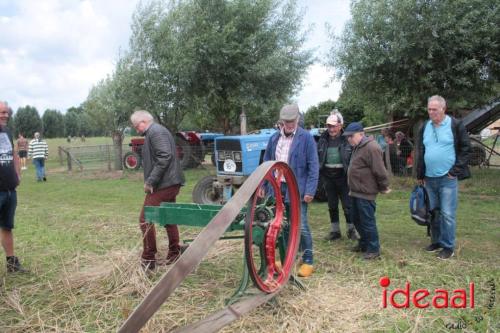 Beleef de boerderij bij Feltsigt in Bekveld - deel 2 (30-07-2023)